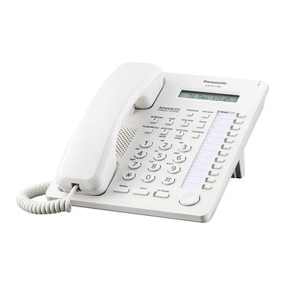 Service 3: $100.00
